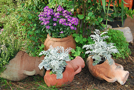 amphorae, terracotta, flowers, violet, white, vases, green