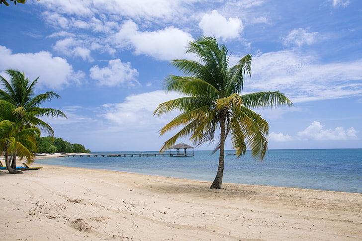 Palmetto bay beach, Roatan, Bay öarna, Palmetto bay, Karibien, stranden, havets kust
