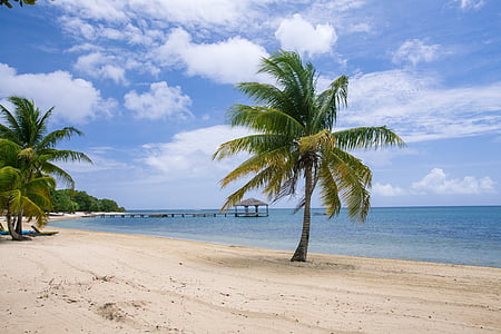Spiaggia di Palmetto bay, Roatan, Isole del Golfo, Baia di Palmetto, Caraibi, spiaggia, Costa del mare