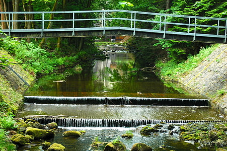 Oker, puente, poco a poco el agua, Río, bosque, naturaleza, agua
