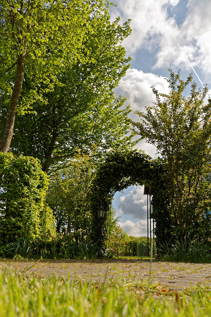 Archway, ökade arch, naturen, trädgård, träd, murgröna