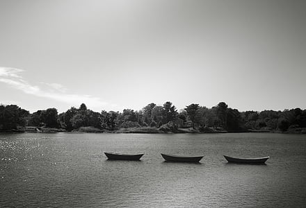 black-and-white, boats, canoes, lake, rowboats, rowing, three