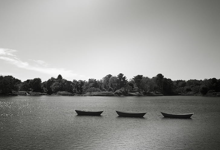 gråtoneskala, fotografering, tre, bådene, midten, søen, dag