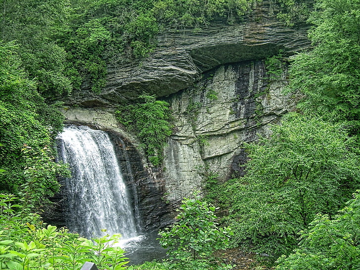 Wodospad, lustra falls, Pisgah forest, Natura, północ, Karolina, drzewa