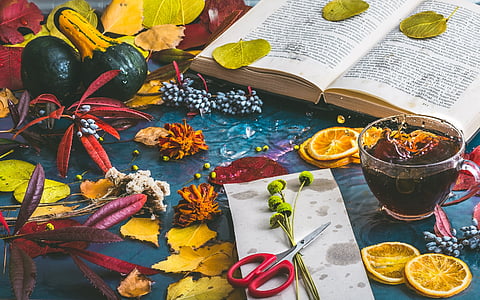 Herbststimmung, Herbst, Tee, Buch, Blätter, Farbe, Laub