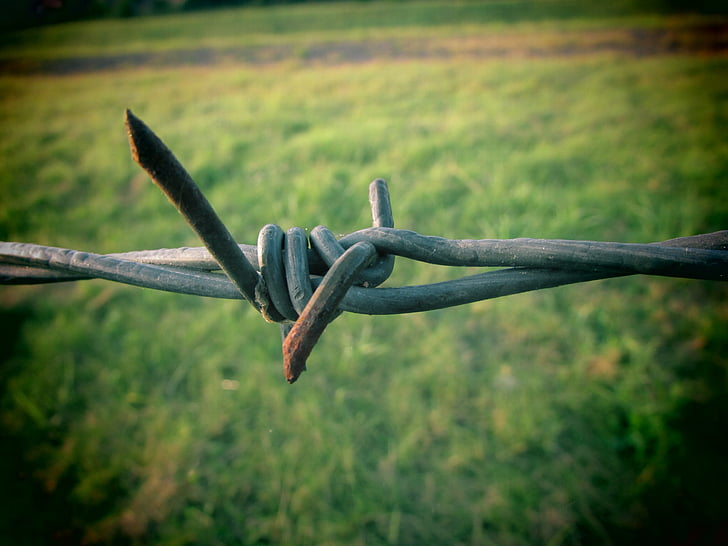 barbed wire, stainless, demarcation, close