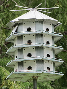 chim nhà, con chim, chung cư, khách sạn, Birdhouse, gỗ, ngôi nhà