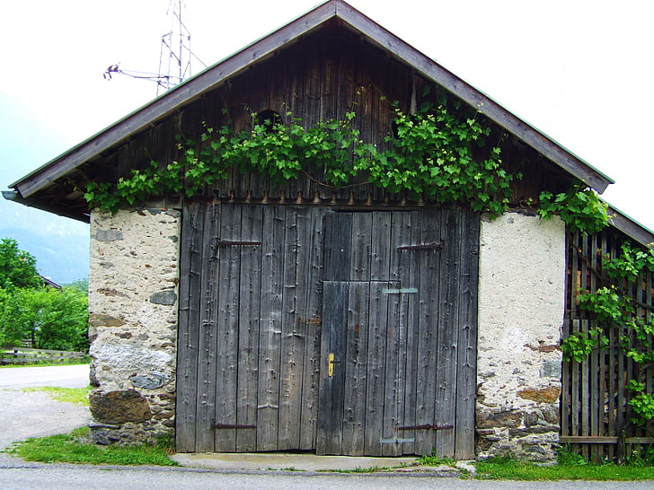 Старий кам'яний будинок, сарай, виноград
