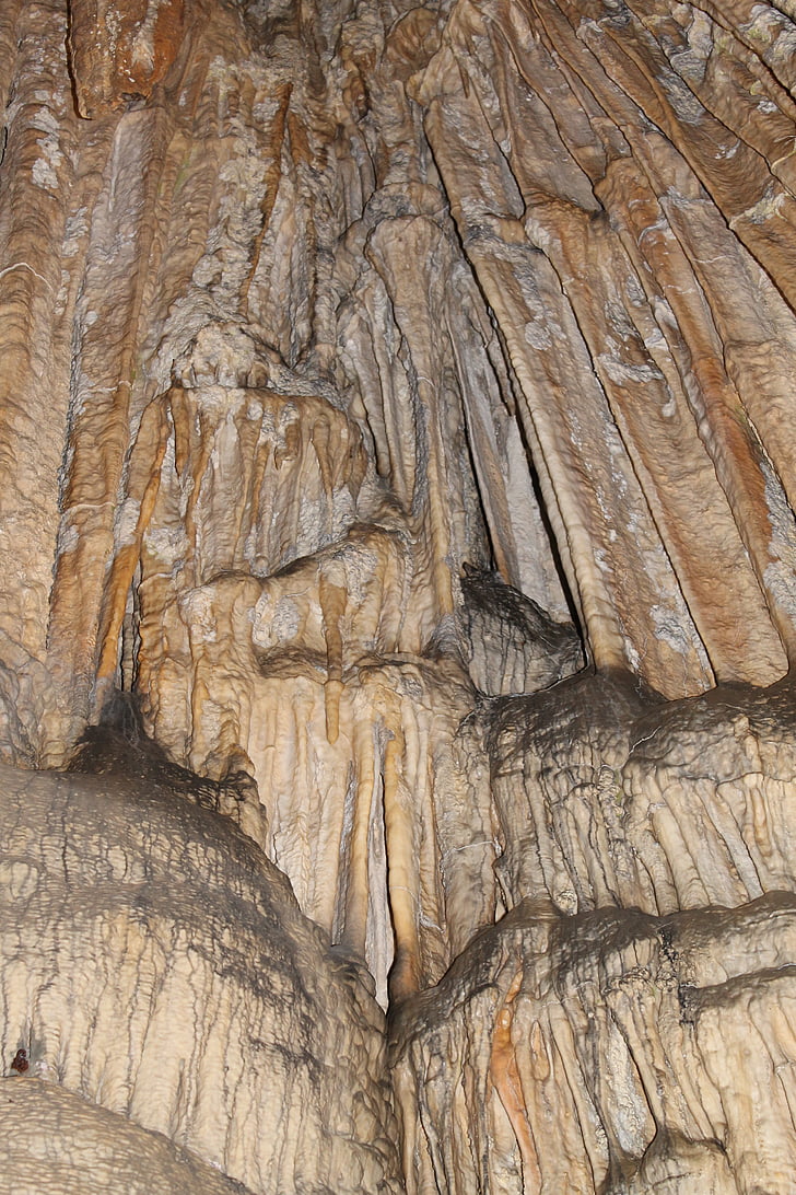 coves de les donzelles, estalactites, stalacmites, roques, Prehistòria