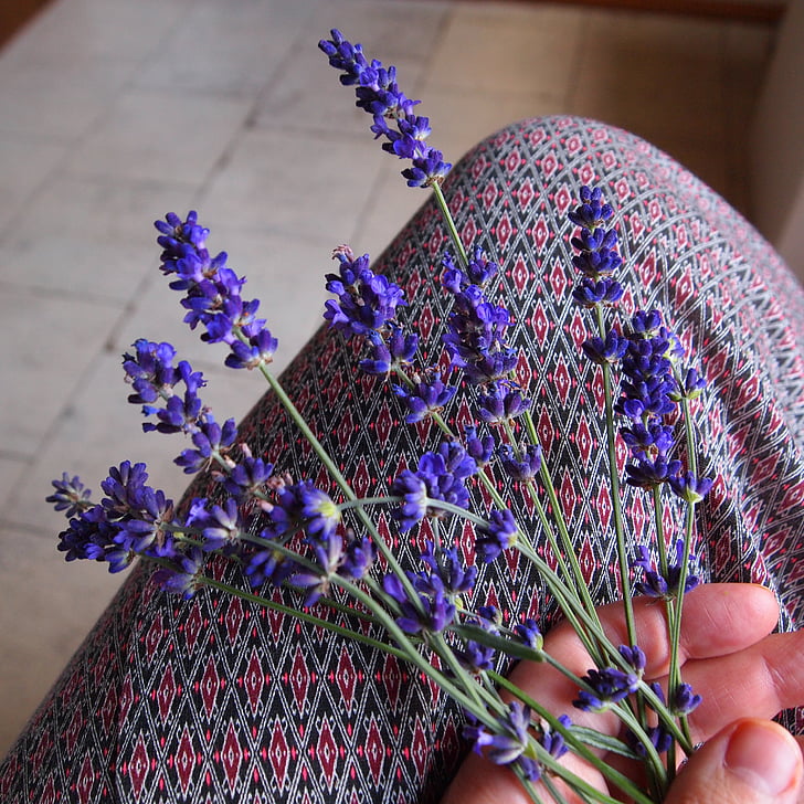 lavender, twigs, woman, stick, fragrant, hand, room