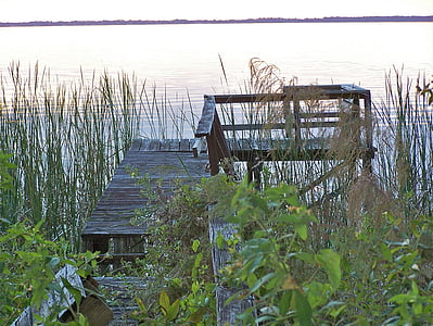 古い桟橋, 水, 湖, フロリダ州, 自然, 自然, 風景