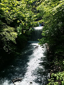 Cachoeira, Rio, Suíça, água, natureza, paisagem, águas