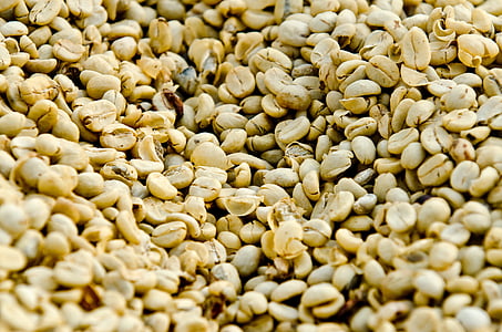 káva, káva, sušení, Guatemala Káva, semeno, jídlo, fazole, pozadí