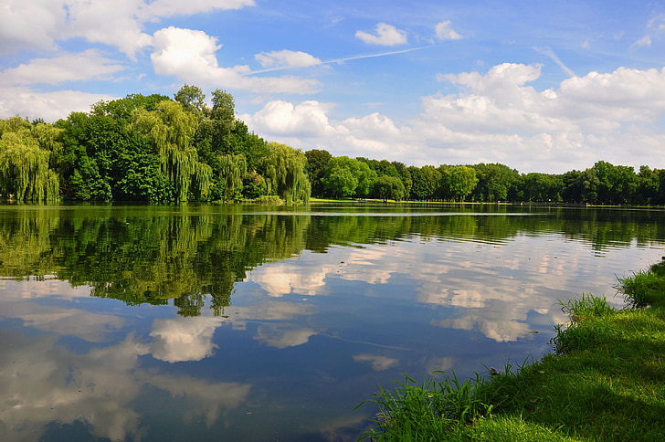 ต้นไม้, แล็กเกอร์, โปแลนด์, cracowdan, ป่า, สีฟ้า, ทะเลสาบ