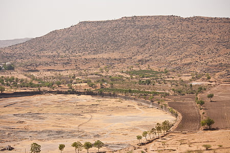 india, countryside, dry, central india, landscape, nature