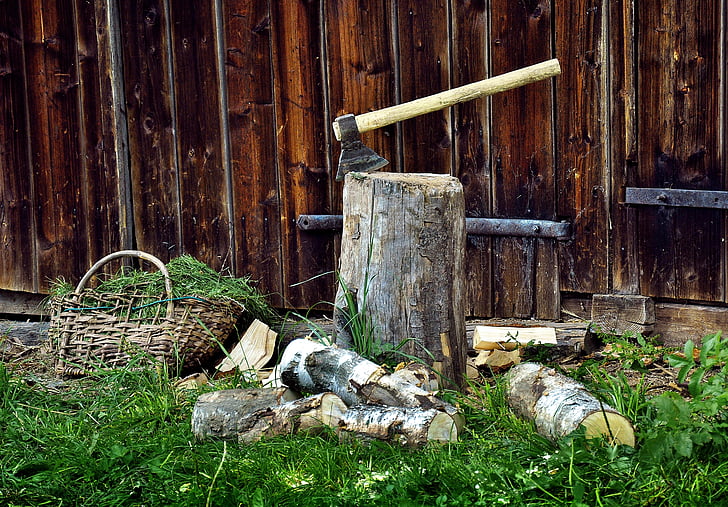 fuel, wood, ax, chopping, logs, tree, old