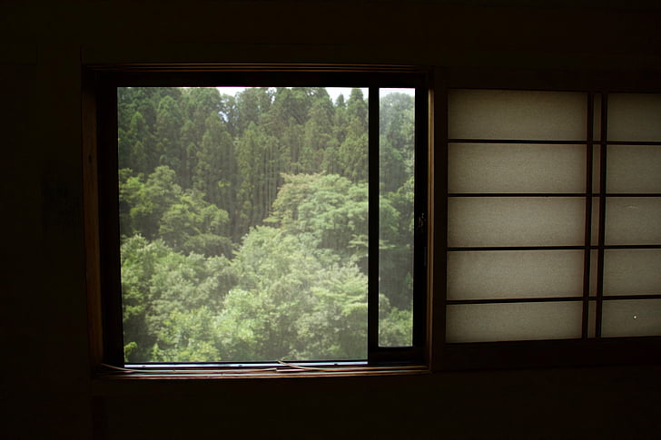 musta, ruskea, ikkuna, osoittaa, vihreä, puu, ulkopuolella