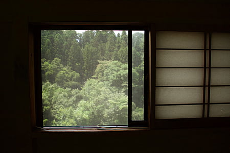 musta, ruskea, ikkuna, osoittaa, vihreä, puu, ulkopuolella