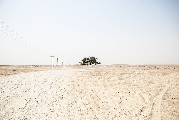 barren, desert, nature, outdoors, power lines, sand, sky