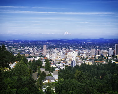 Portland, Oregon, utca-és városrészlet, város, városok, városi, fák