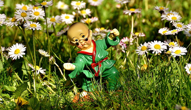 karate, figure, funny, meadow, daisy, nature, flower