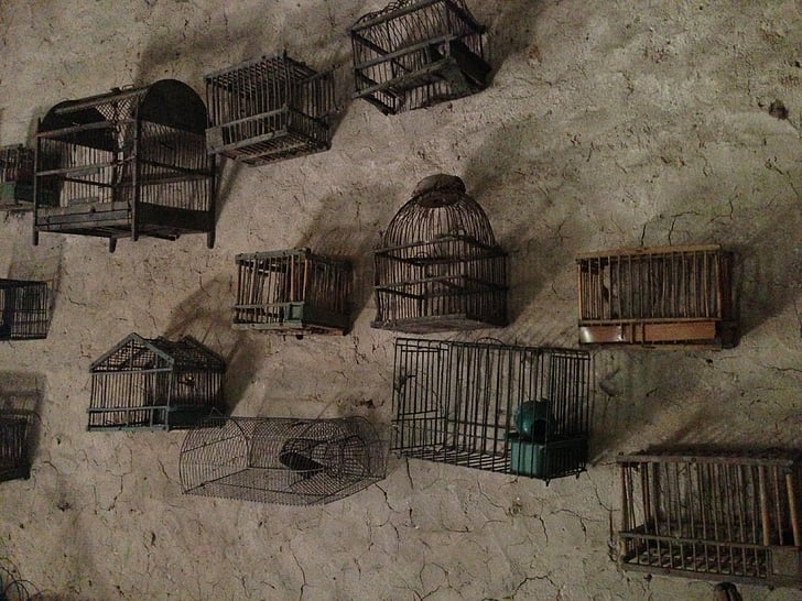 cages, collection, wall, architecture, old, house