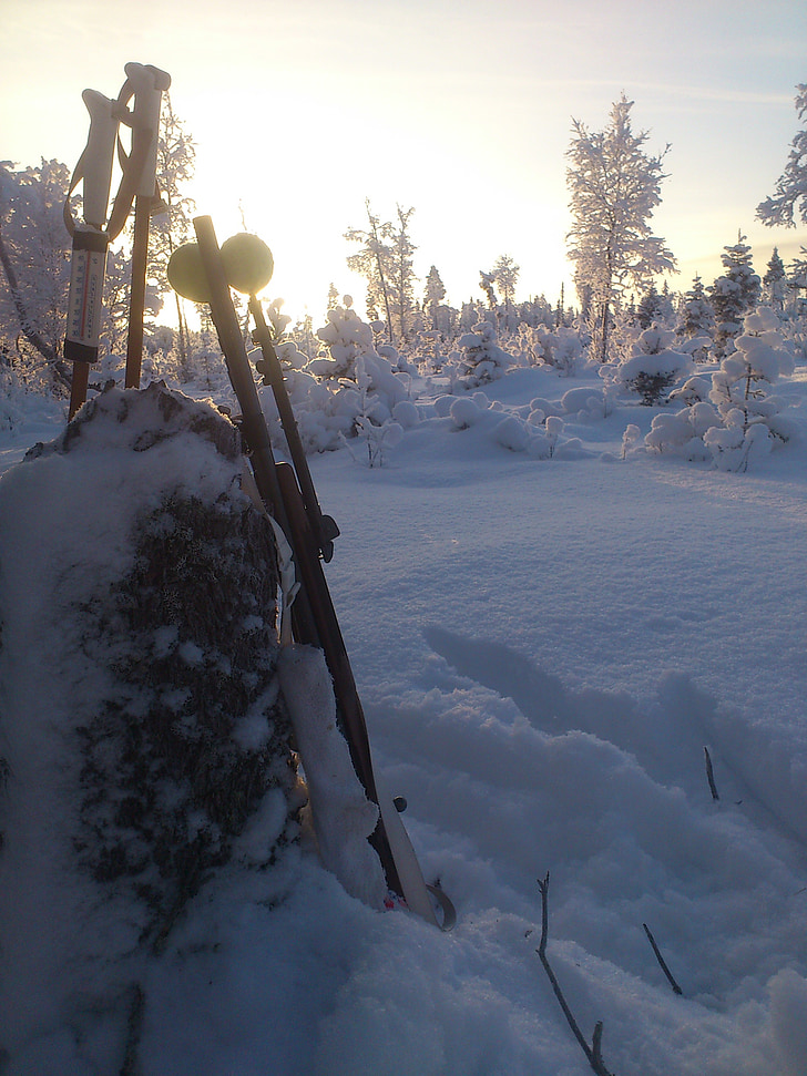 winter, hunting, cold, snow, morning, sun, forest