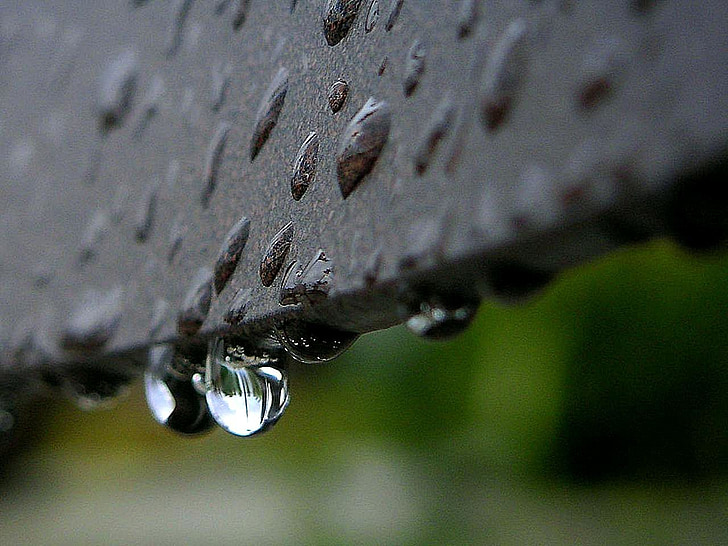 drops, dew, or, rain, landscapes, nature