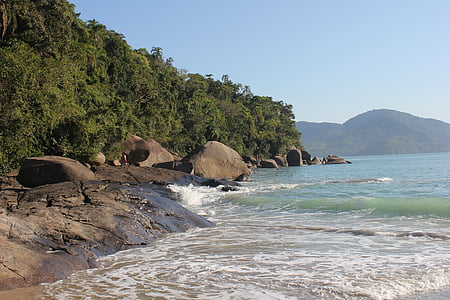 platja, brazilwood, vacances, sol, paisatge, natura, salvatge