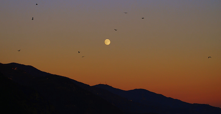 zonsondergang, Luna, vogels, hemel, Bergen, natuur