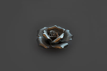 Rózsa, ezüst, romantika, Blossom, Bloom, dekoráció, érzések
