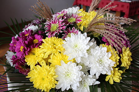 Όμορφο, χαρούμενα, λουλούδια