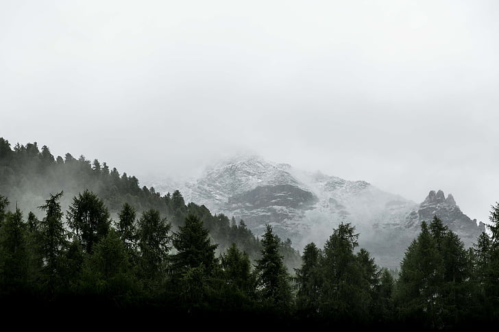 photograph, glacier, mountain, near, green, trees, daytime