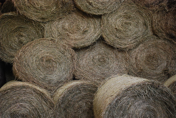 Hay, Okrúhly lopta, poľnohospodárstvo