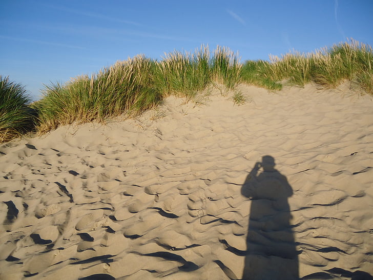 été, dunes, ombre, sable, plage, herbe