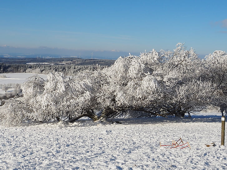 chłodny, śnieg, zimowe, regionie Vogelsberg mountains, zimno, mróz