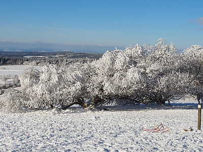 wintry, snow, winter, vogelsberg mountains, cold, frost