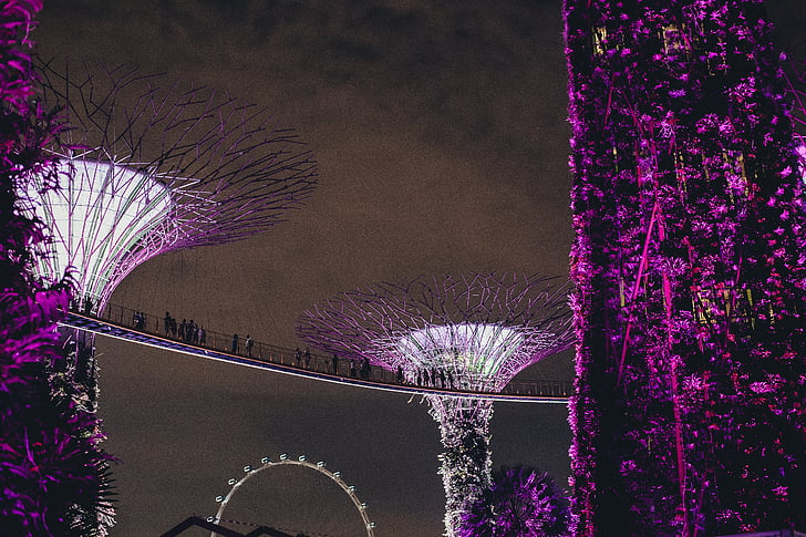 绘画, 紫色, 白色, 桥梁, 塔, 走道, 新加坡