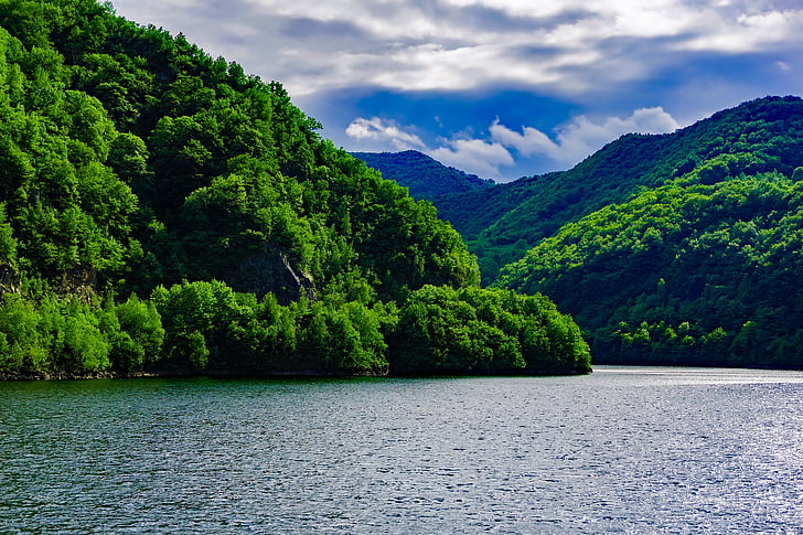 Rumunsko, hory, krajina, jezero, voda, Les, stromy
