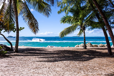 beach, boat, coast, coconut trees, jetski, ocean, palm trees