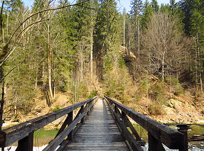 híd, fa-Európahíd, régi, folyó, természet, sétány