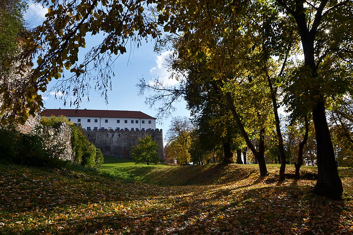 Baranya, Siklós, hrad, strom, Architektura, podzim, Příroda