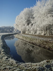winter, mirror, trees, water, landscape, nature, frozen