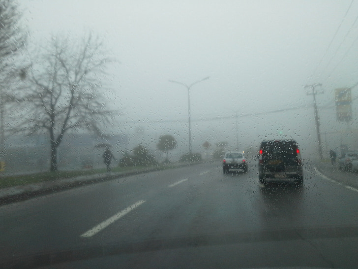 fog, rent a car, road