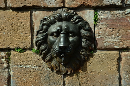 fountain, wall, lion head, iron, water, old town, antique