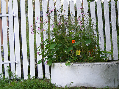gėlės, augalai, balta, ratas, betono, tvoros, dažytos