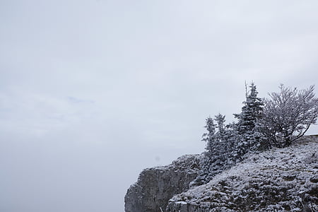 горы, Зима, Крё du Ван, Швейцария, Юра, Клифф, деревья