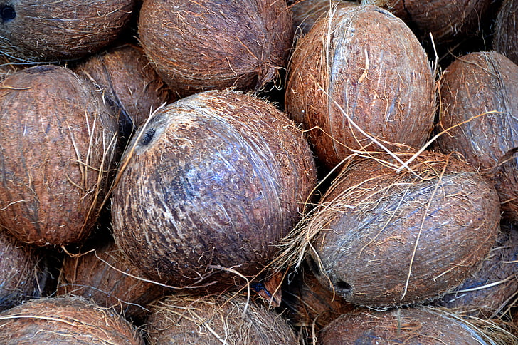 coconut, nuts, market, brown, nutrition, exotic, food