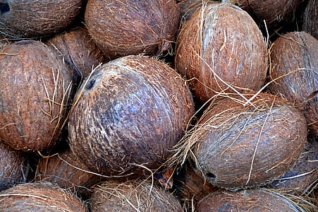 kokos, nötter, marknaden, brun, näringslära, exotiska, mat