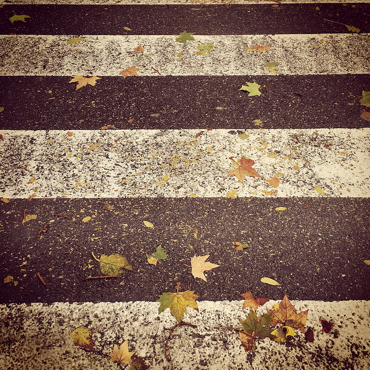 Herbst, Winter, Melancholie, trocken, gelb, Straße